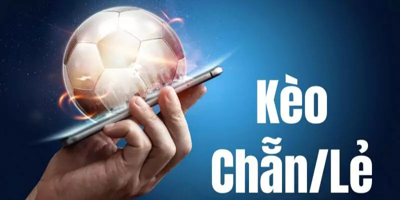 Tìm hiểu sâu về 2 đội