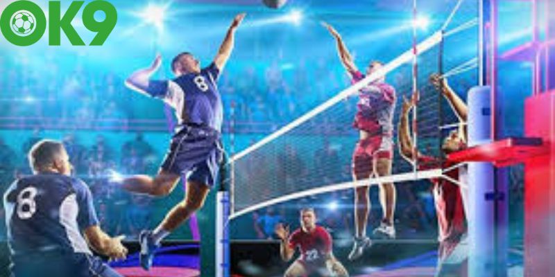 Cá Cược Bóng Chuyền Ok9 - Thông Tin Chi Tiết Cho Tân Thủ 7 Tổng hợp các hình thức cá cược bóng chuyền Ok9